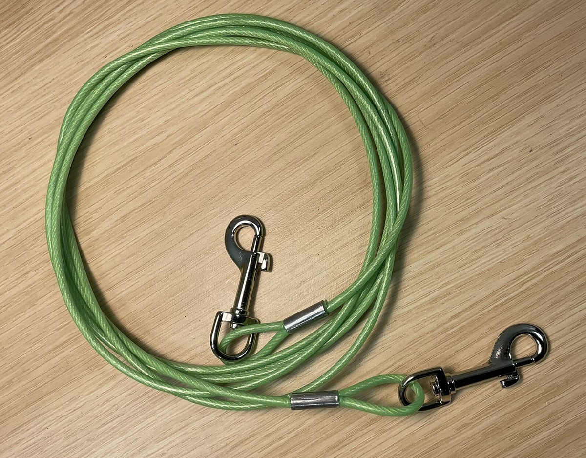 Rope Dog Leads For Camping Ridgeline Tie Out