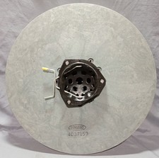 Tennant 4037159 Brush 20"