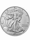 2022 American Silver Eagle Coin 1 oz $1 - BU