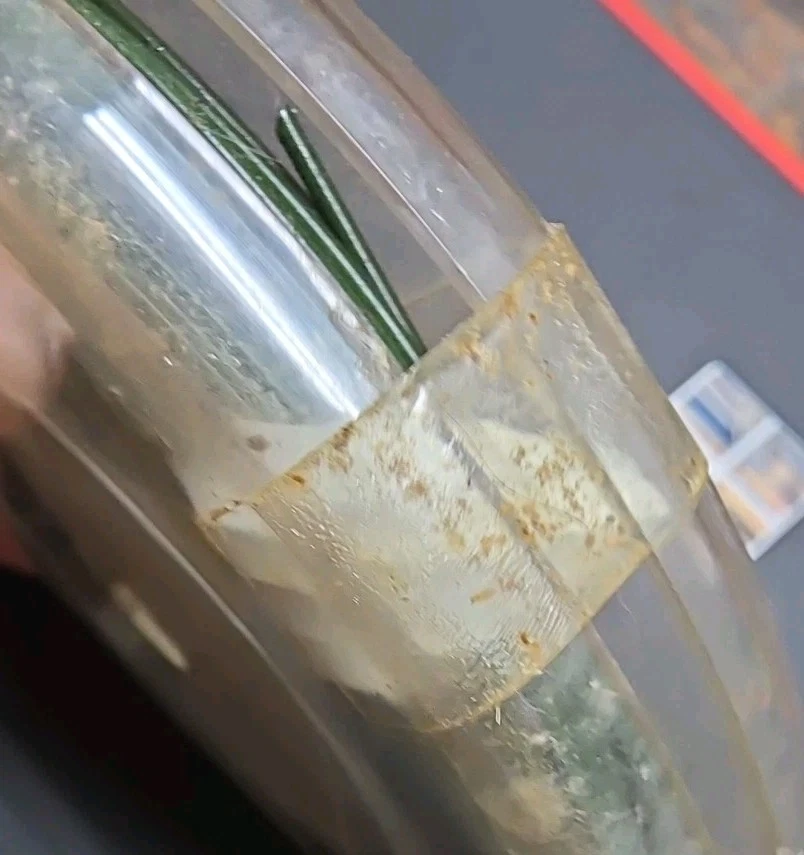 Línea de mosca flotante vintage Cortland 333 verde L10s 25 yardas nuevo Foto 4 de 4