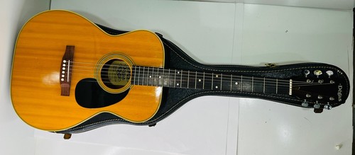 Acoustic Guitar El Degas F-185 6 String Vintage Hard Case