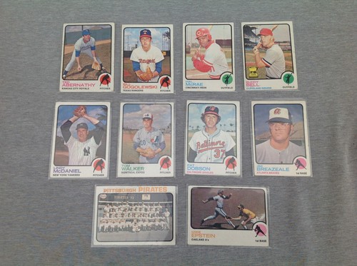 10 1973 Topps Baseball Cards in Plastic Sleeves
