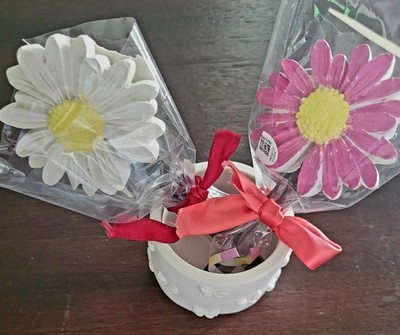 RECUERDOS margaritas de yeso para bautizos, quinceaneras, bodas de varios colore