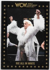 1991 WCW Championship Marketing Singles - Complete Your Set - Sting Ric Flair +