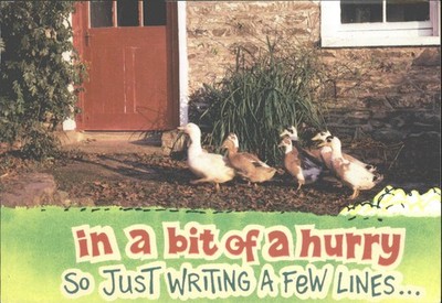 Humorvolle Enten Postkarte ''In a Bit of a Hurry'' John Hinde Original