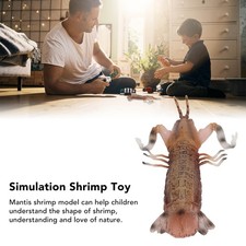 Shrimp Model Solid Vivid Simulation Shrimp Model For Children Toy Edu NY9