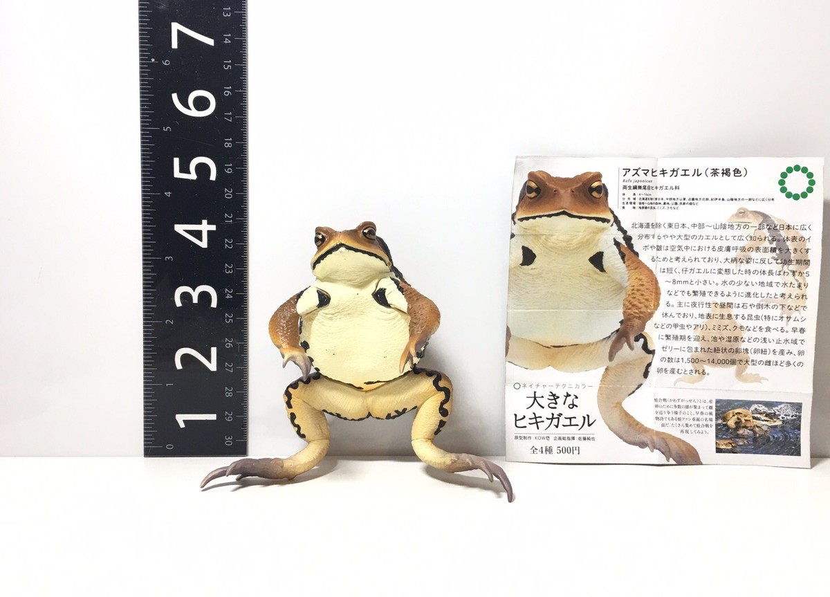 Japan Exclusive Kitan Club Nature Techni Colour Big Cane Toad