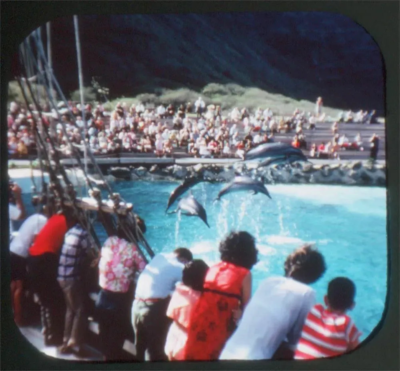 Sea Life Park - Hawaii - View-Master 3 Reel Packet - A130-S6A | eBay