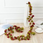 Bild 7 von 26