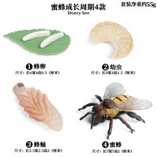 4pcs/set Growth Cycle Hornet Insects PVC Toy Animal Figure Doll Kids Gift