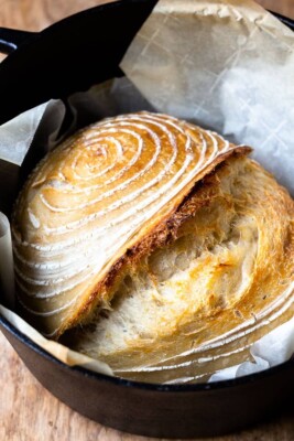 Sourdough Dehydrated Starter Sour 125+ Yrs Old San Francisco - 15 Gram Bag