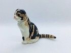 Scottish Fold Cat Figure Japan Creature Organism Animal Miniature 29