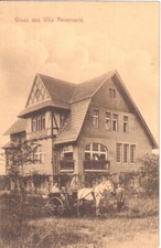Berlin FRIEDRICHSHAGEN Gruß a Villa Annemarie belebt Einspänner Sulky 30.12.1917