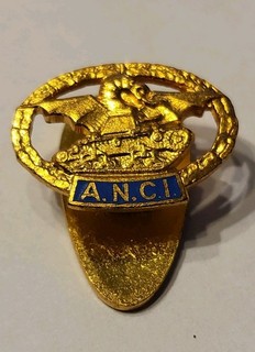 VECCHIO DISTINTIVO MILITARE Pin A.N.C.I. ASSOCIAZIONE CARRISTI ITALIANI Johnson