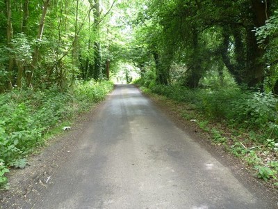 Foto A3 Warren Road und Frith Wood Kit's Coty Warren Road läuft parallel c2012