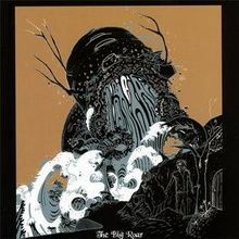 The Big Roar von Joy Formidable,the | CD | Zustand sehr gut