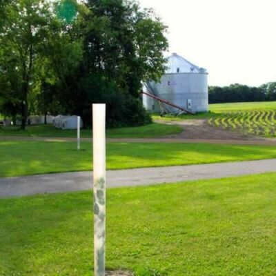 5 Plantra SunFlex Greenhouse Grow Tube For Trees 4800 47'' Protection + ZIP TIES