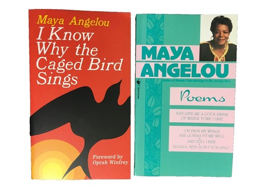 Painted in Words: A Memoir 9780253340481| eBay