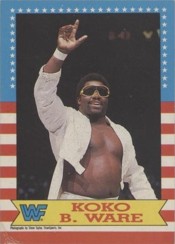2) 1990 CLASSIC KOKO B WARE WWF WWE #82 #119 WRESTLING THE BIRDMAN