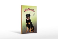 Holzschild Hund 12X18 Cm Rottweiler Deutschland 1850 Deko Schild