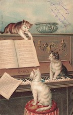CATS - the music lesson, 1900 illustrated card (1004)
