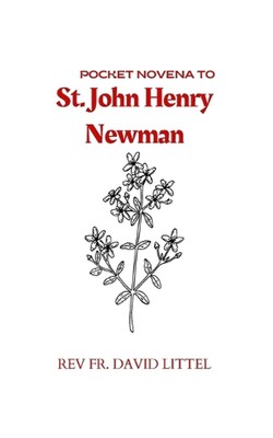 St. John Henry Newman: Taschennovene von Fr REV David Littel Taschenbuch Buch