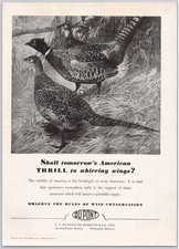 1936 DuPont Conservation Vintage Print Ad Pheasant Lynn Bogue Hunt Art