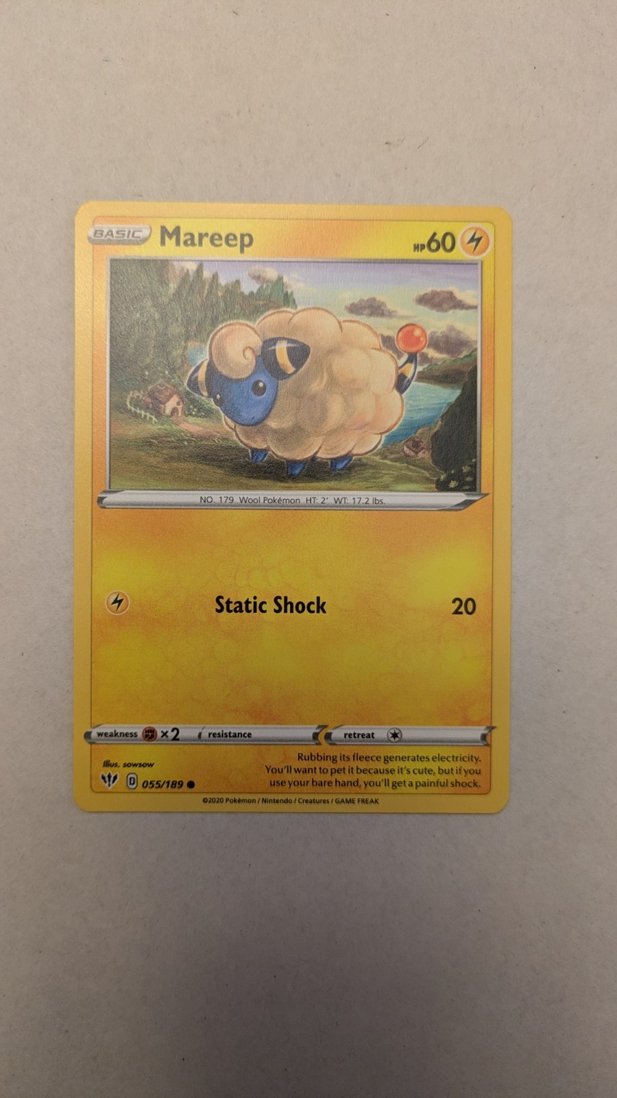 Pokemon TCG Mareep 055/189 Darkness Ablaze Regular Common ENG 2020 60 HP