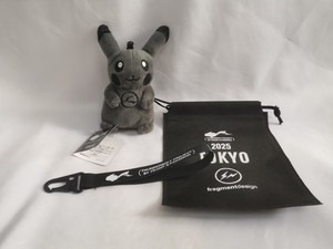 fragment pokemon ポケモン Fragment Pokemon | eBay