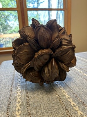 Vietnamese Water Coconut Nipa Palm Fruit Cluster Seed Pod Nypa Fruticans