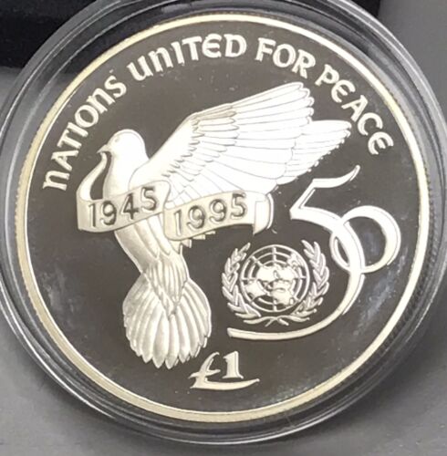 1995 Ireland United Nations One Pound Silver Proof Coin - Picture 2 of 4