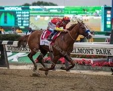 JUSTIFY 2018 TRIPLE CROWN WINNER BELMONT STAKES 8X10 PHOTO 2