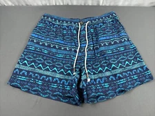 NWOT Chubbies The Wave After Waves 5.5” Lake Shorts XL