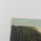 Picture 5 of 12