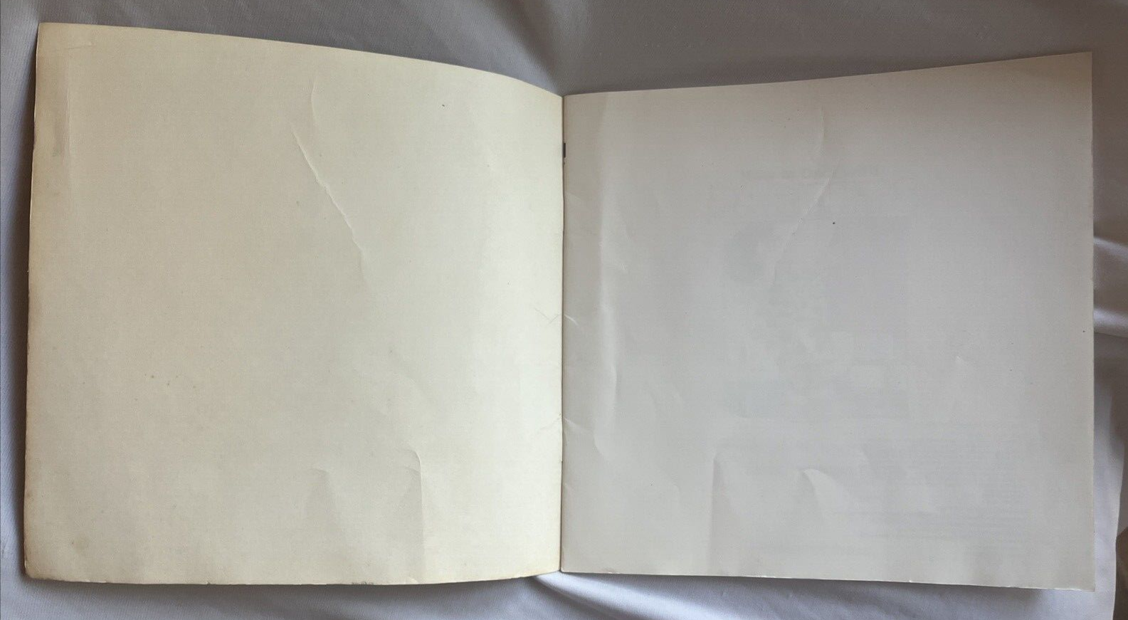 Picture 5 of 13
