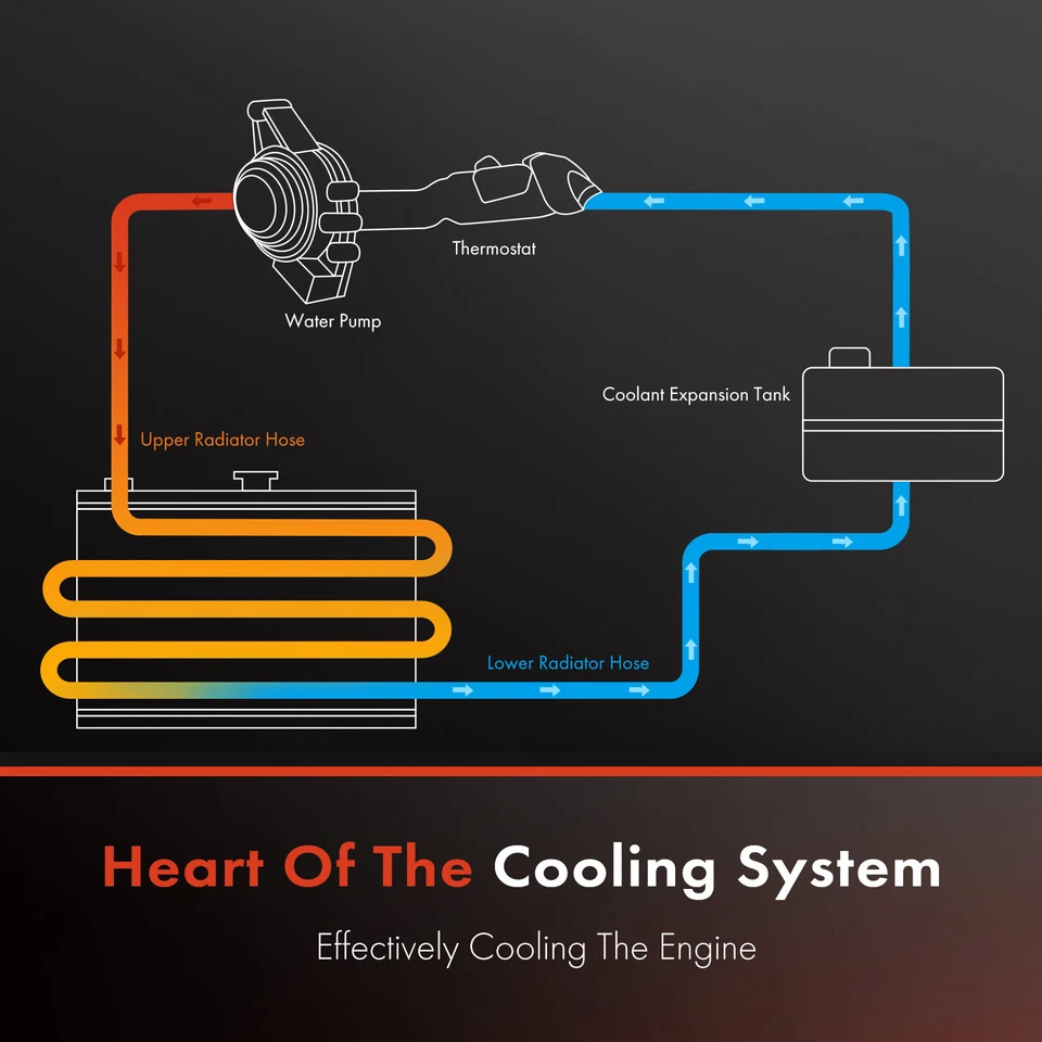 Manguera de refrigerante de radiador lateral superior para BMW 760Li F02 2010 2011 2012 2013 2014 2015 Foto 2 de 4