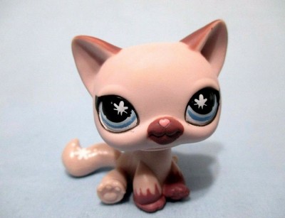 lps laying down cat