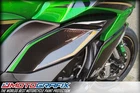 Kawasaki Ninja 1100sx 2025 - 2026 Motorcycle Lower Knee /Side Fairing Protection