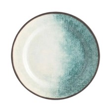 Vibrant Assorted Colour Plastic Party Plates 28cm 298g￼