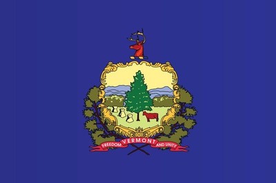 Vermont State Flag Cool Wall Decor Art Print Poster 24x36