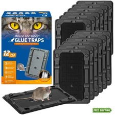 LULUCATCH 12-Pack Pre-Baited Sticky Mouse Traps, Non-Toxic Glue Traps for Indoor