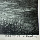 Bild 3 von 8