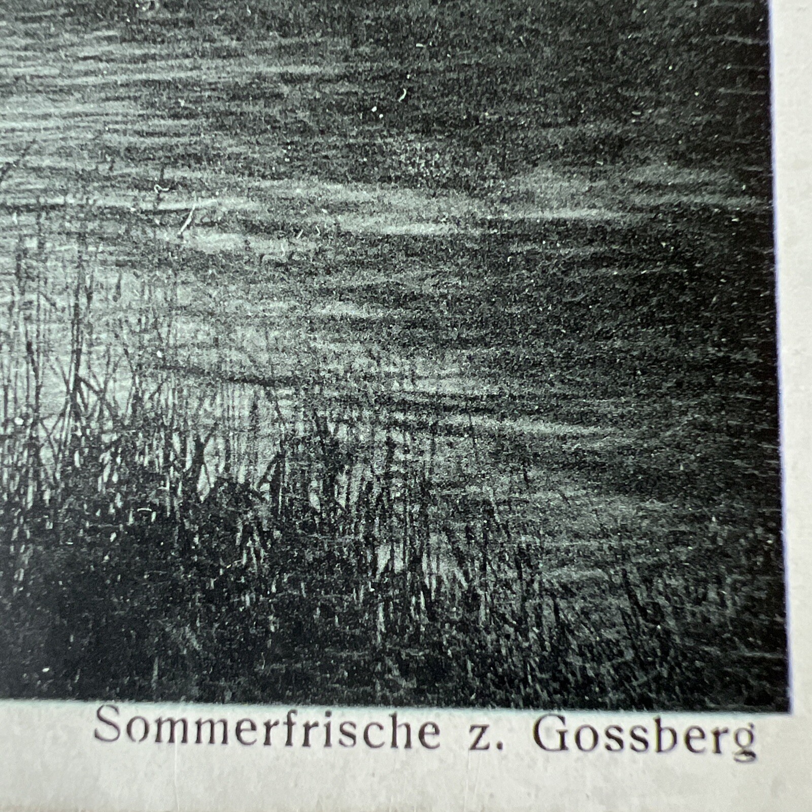 Bild 3 von 8