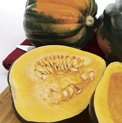 50 Acorn Squash Seeds for Planting King Table Squash Delicious and  Nutritious | eBay