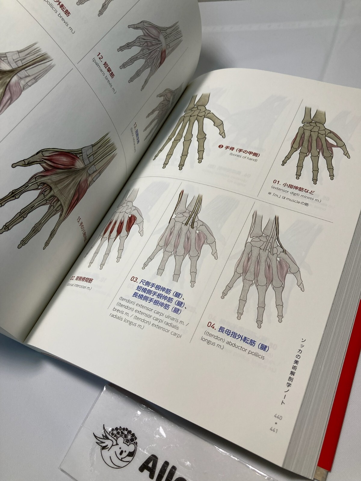 Stonehouse's Anatomy Note Socca Suk Jong Hyun How to Draw Human Body