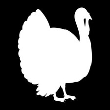 Turkey Thanksgiving Hunt Hunting Decal Sticker White Die Cut Vinyl