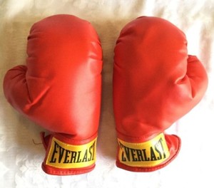 everlast boxing gloves small