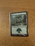 MAGIC THE GATHERING CHAMPIONS OF KAMIGAWA FOREST (304) LIGHTLY PLAYED