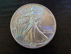1991 W Silver American Eagle Coin Beautiful (Not Graded) In Case
