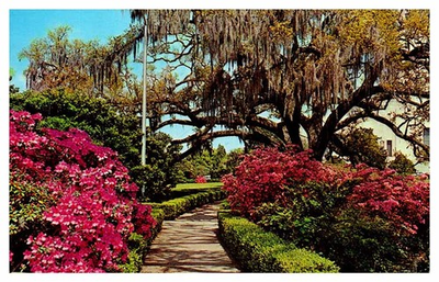 #ad Postcard GARDEN SCENE Baton Rouge Louisiana LA j 01 AQ0719 $2.49